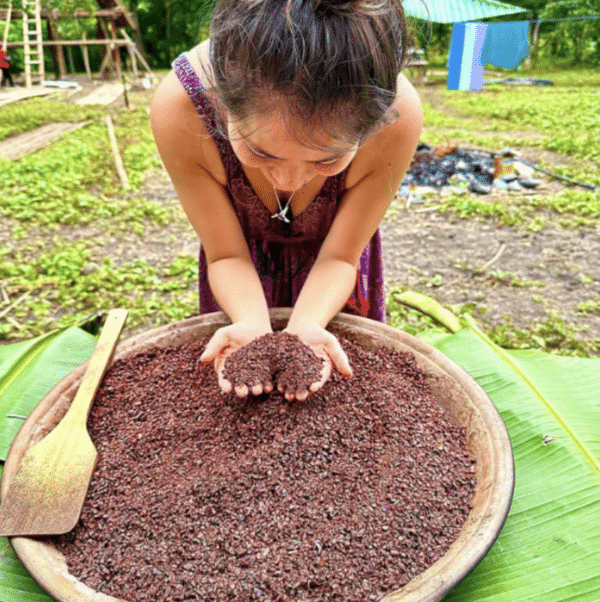 Cacao Husk Tea - Image 4